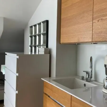 Apartment Elegant Penthouse Loft - City Center + Rooftop Terrace